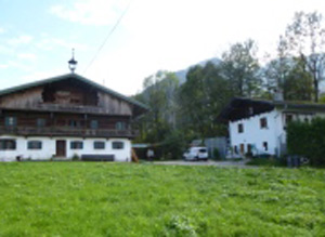 Tierheim Wörgl