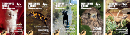 Tierschutzkurier-Sample