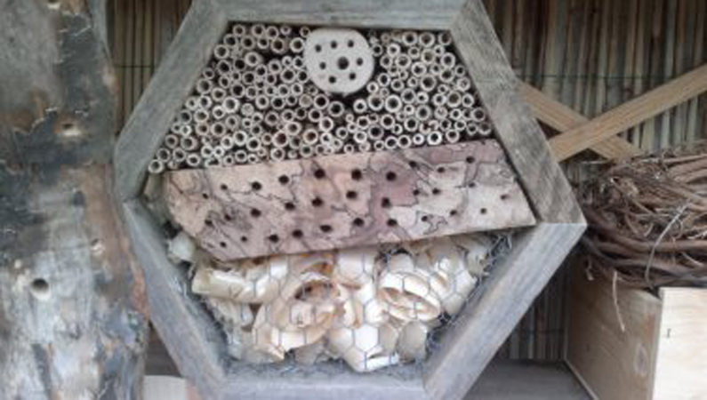 Bienenhaus