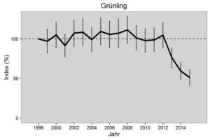 Gruenfink Bestandsuebersicht