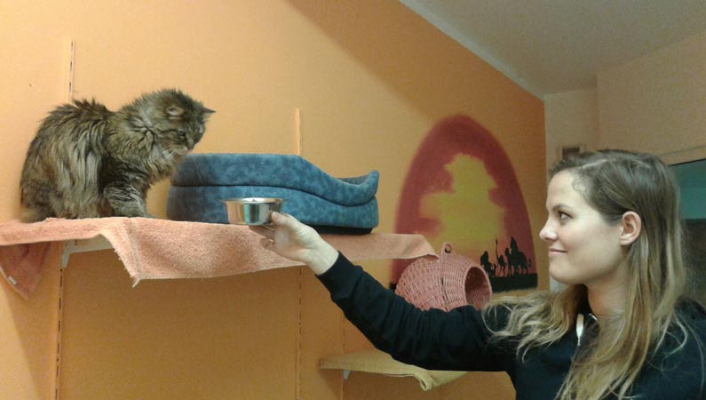 Tierpflegerin kuemmert sich um eine alte Katze