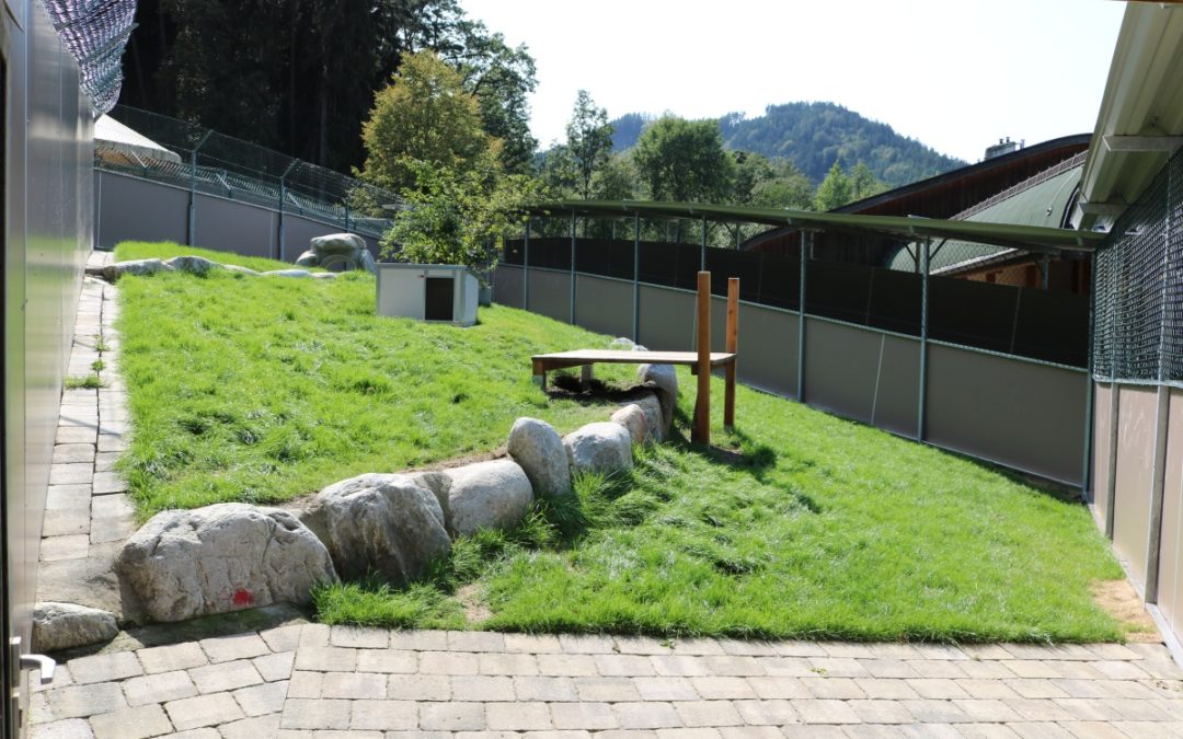 Fertigstellung der neuen Hundegehege