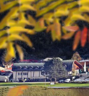 Tierheim Mentlberg Tierheim Mentlberg