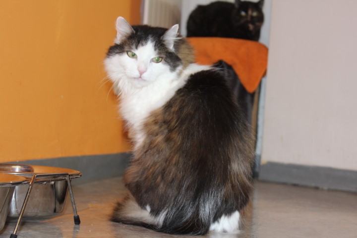 Missy