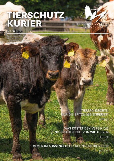 Wieder viele interessante Themen und Infos – der neue Tierschutzkurier ist online!