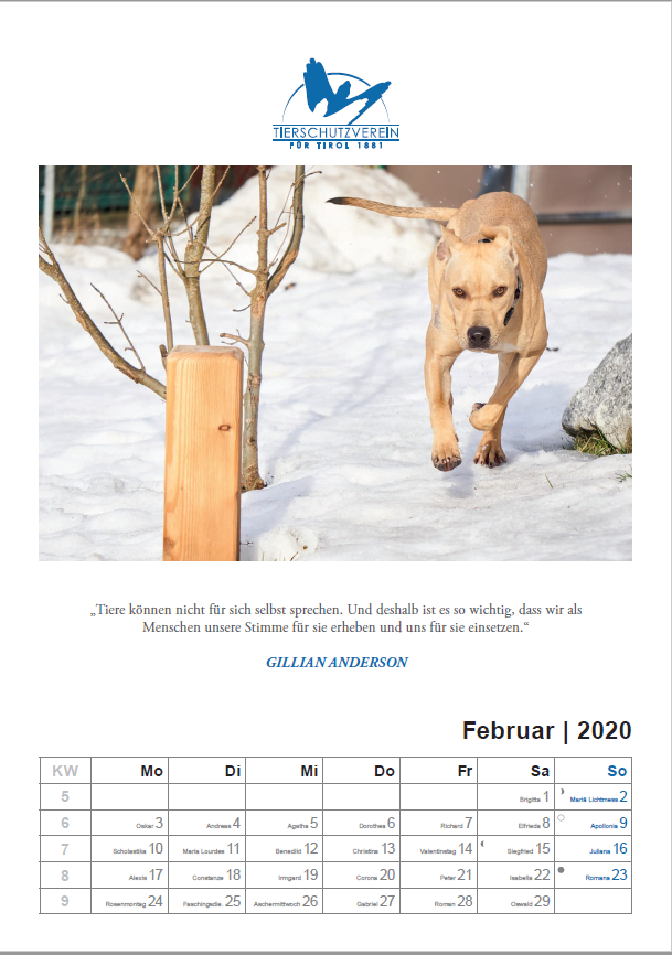 Der neue Tierschutzkalender 2020 ist da! Tierschutz Tirol