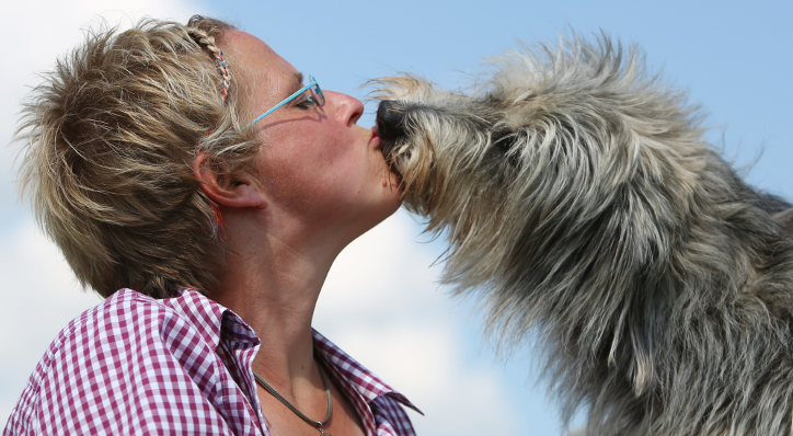 Veranstaltungen zum Thema Hunde im Café „Treffpunkt für Tierfreunde“