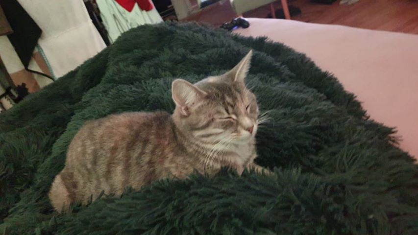 Marley, Jenbach(05/20)