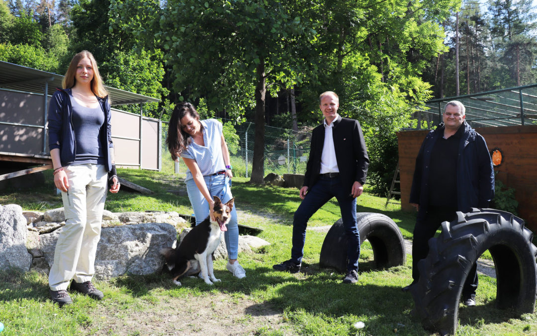 Presseaussenung der Stadt Innsbruck: Stadt unterstützt engagiertes Wirken des Tierheims Mentlberg