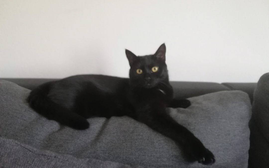 Amy, Jenbach(06/20)