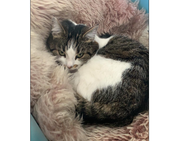 Frieda, Zams(06/20)