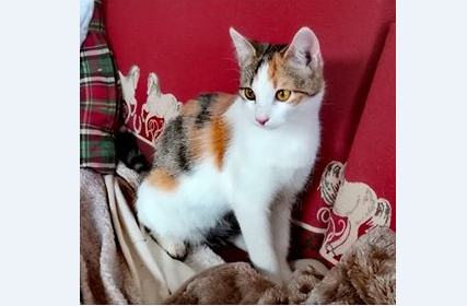 Mimi, Haimingerberg(06/20)