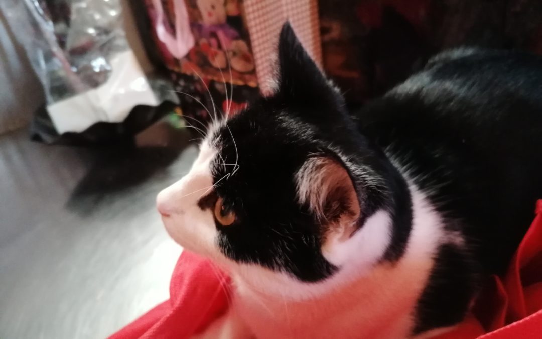 Mike, Wiesing(07/20)