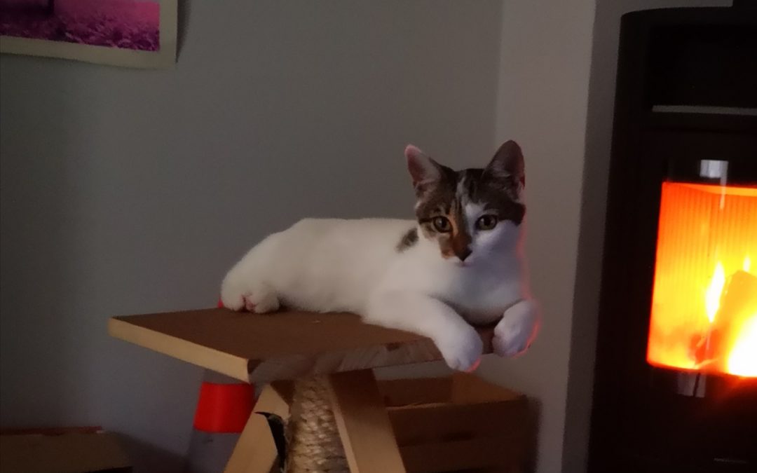 Hanna, Roppen(09/20)