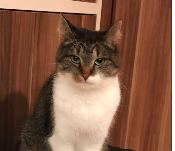 Katerina, Seefeld(09/20)