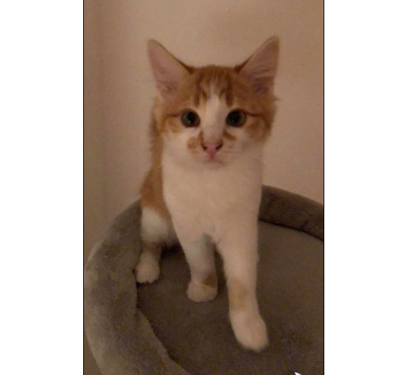 Lois, Stumm(09/20)