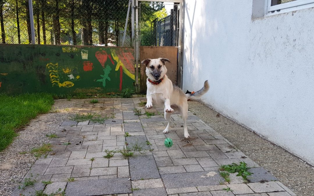 Zoe