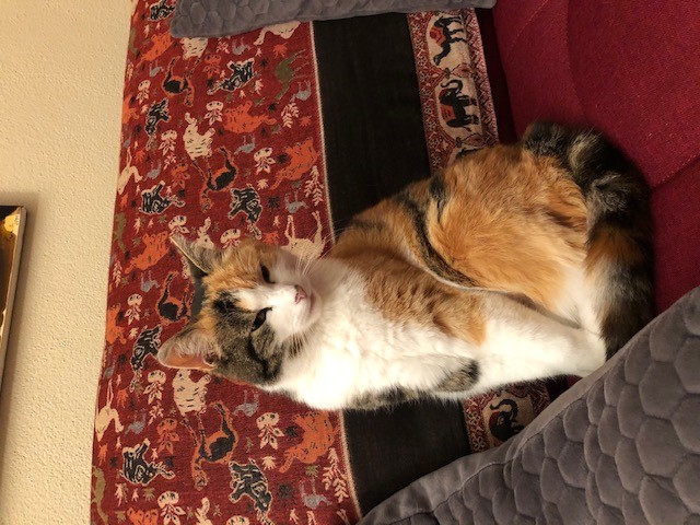 Missi, Ebbs(10/20)
