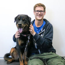 Tierpfleger Hunde