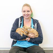 Tierpflegerin Hunde
