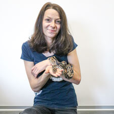 Tierpflegerin Katzen