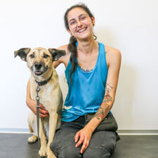 Tierpflegerin Hunde