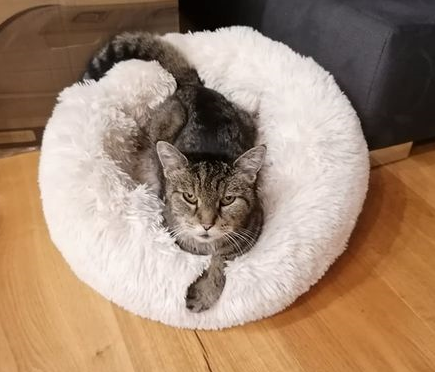 Jay, Mötz(11/20)