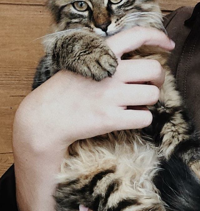 Rocky, Weer (12/20)