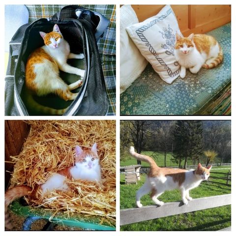 Chili, Weer (12/20)