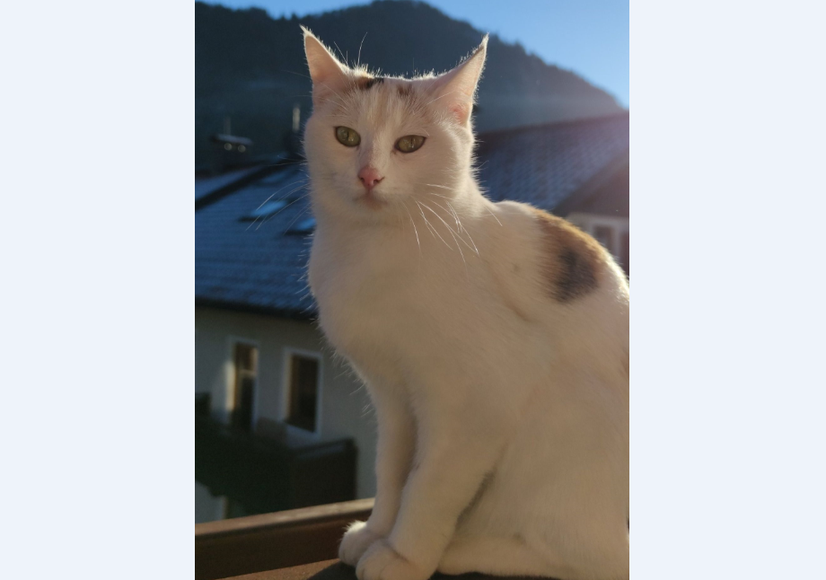 Luna, Radfeld(02/21)