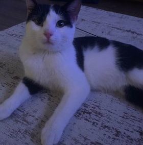 Kater, Hall (3/21)