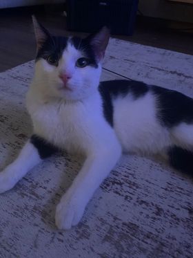 Kater, Hall (3/21)
