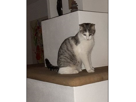 Kaja, Stumm(03/21)