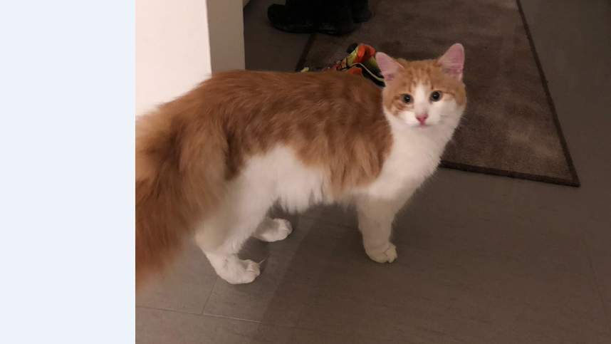 Mogli, Innsbruck(03/21)