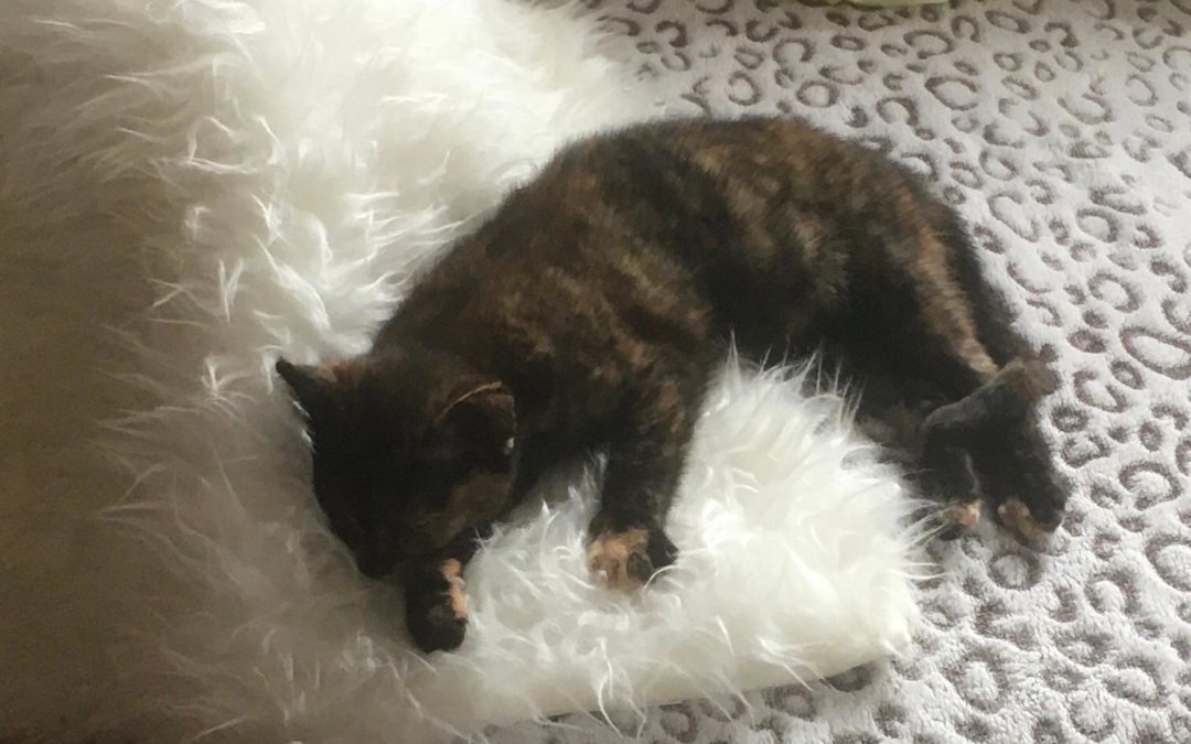 Olivia, Wiesing(03/21)