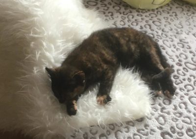 Olivia, Wiesing(03/21)