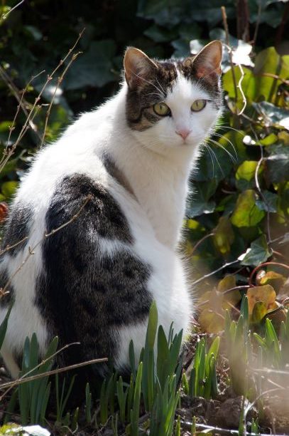 Fritzi, Natters (04/21)