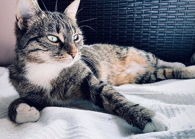 Emma, Arzl (04/21)
