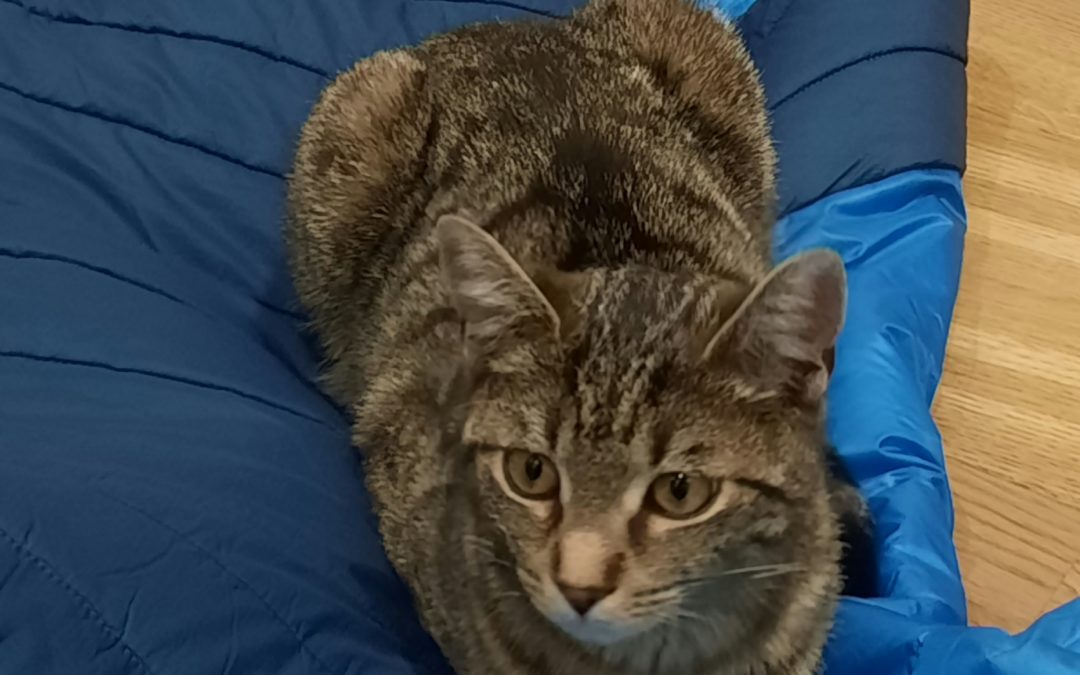 Loui, Telfs (04/21)