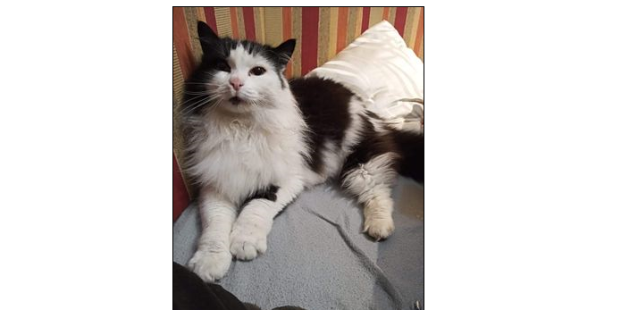 Marley, Rietz(04/21)