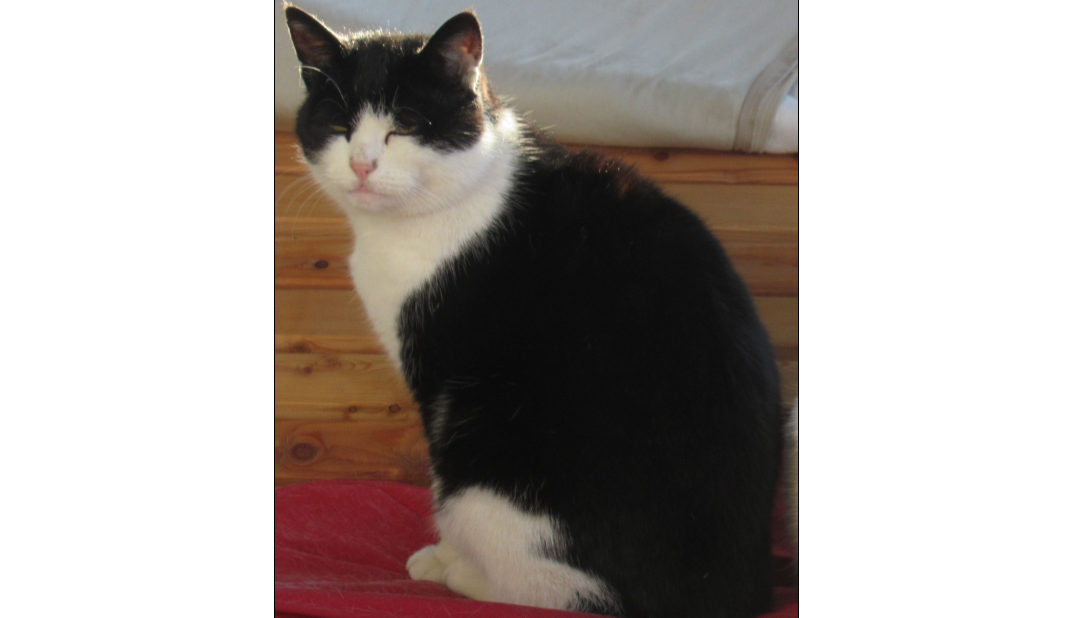 Micky, Ranggen(04/21)