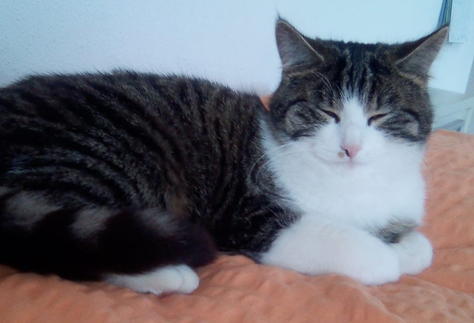Sissy, Strass(04/21)