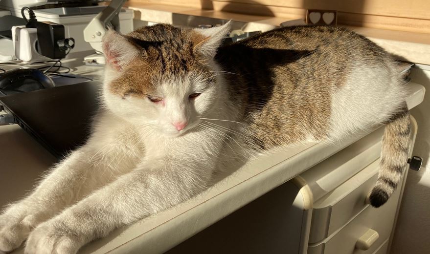 Felix, Haiming(05/21)