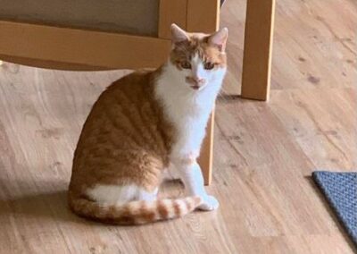 Charlie, Birgitz,  (06/21)