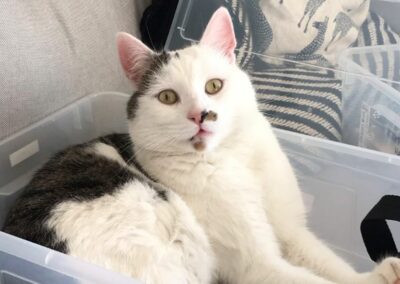 Findus, Axams,  (06/21)