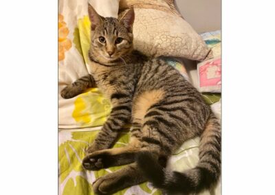 Maxi, Imst,  (06/21)