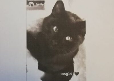 Mogli, Amras,  (06/21)
