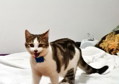 Ginny, Innsbruck,  (07/21)