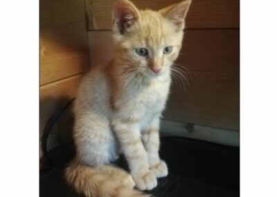 Kater, Erl,  (07/21)