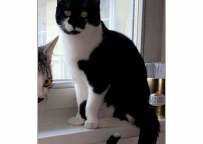 Clyde, Telfs, (08/21)